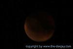 Februar :: IMG_9332