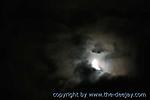 Februar :: IMG_9362