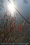 Februar :: IMG_3619