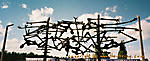 KZ-Dachau :: 000008