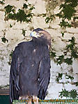 September :: 100_0904