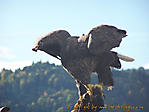September :: 100_0912