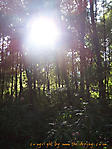 September :: 100_0932