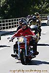 IMG_1294