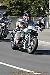 IMG_1347