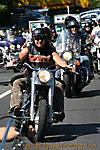 IMG_1411