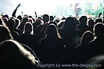 IMG_3778