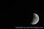 IMG_9289