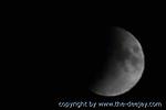 IMG_9291
