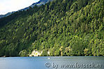 IMG_8648