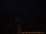 100_2318