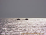 August :: 100 6690