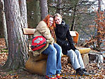 November :: 100_3812