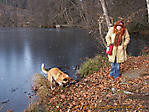 November :: 100_3822