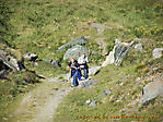 August :: 100_0184