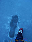 Januar :: 100_4542