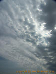 Juni :: 100_6740