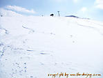 PICT0321