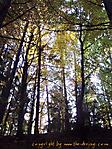 Fassachersee :: 100_9612