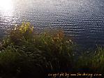 Oktober :: 100_9626