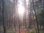 Oktober :: 100_9633