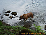 September :: 100_8378