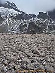 100_9049