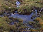 Wieseralm :: 100_8797