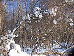 Februar :: 100_0396