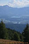 IMG_0784