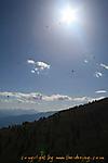 IMG_1009