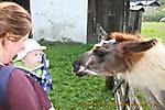 September :: IMG_0678