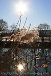 Februar :: IMG_3624