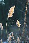 Februar :: IMG_3667