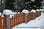 Januar :: IMG_3484