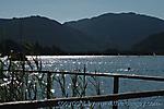 2007 :: IMG_2579