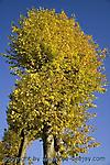 Oktober :: IMG_7638