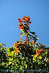 September :: IMG_6702