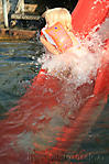 August :: IMG_6620