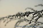 Januar :: IMG_9126